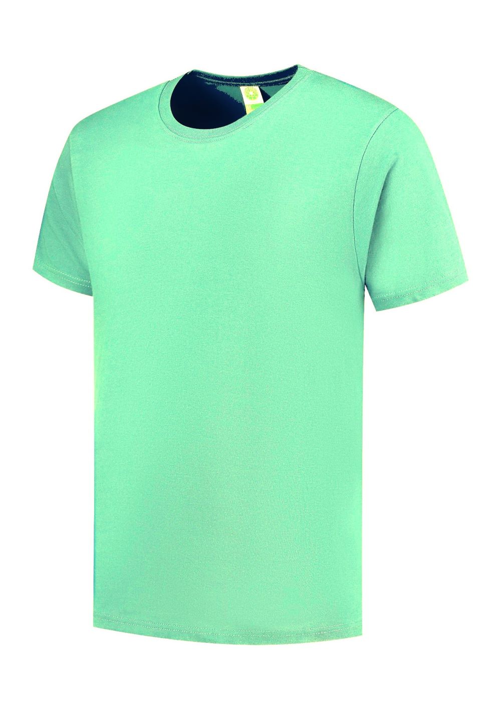 SWGL3 117 Mint Green 1000 x 1415 300dpi.jpg