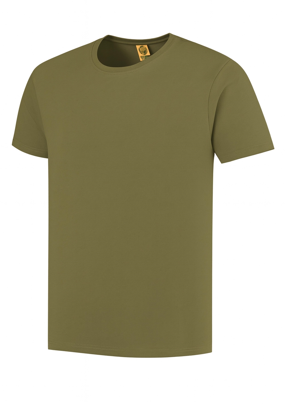 SWGL3 118 Light Khaki 1000 x 1415 300dpi.jpg