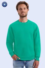 295-50-Kelly-Green--crew-neck--Model-Logo.jpg