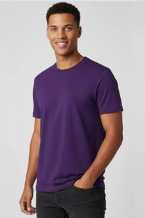 SW350---Purple.jpg